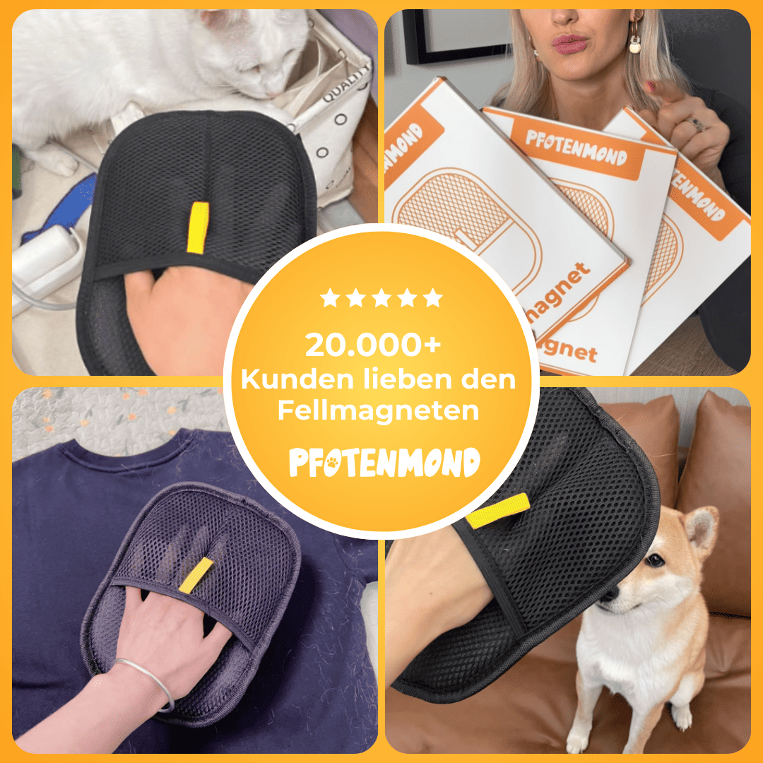Fur Magnet - The Bestseller