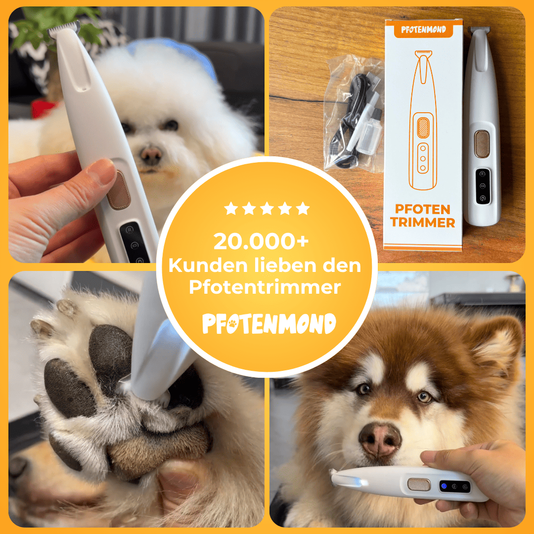Paw Trimmer - The Bestseller