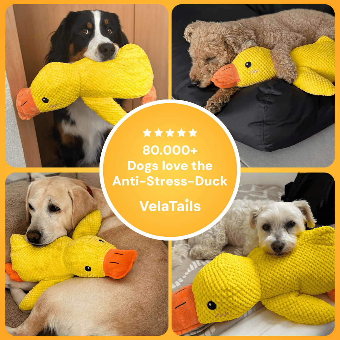 Anti-Stress Duck - The Bestseller