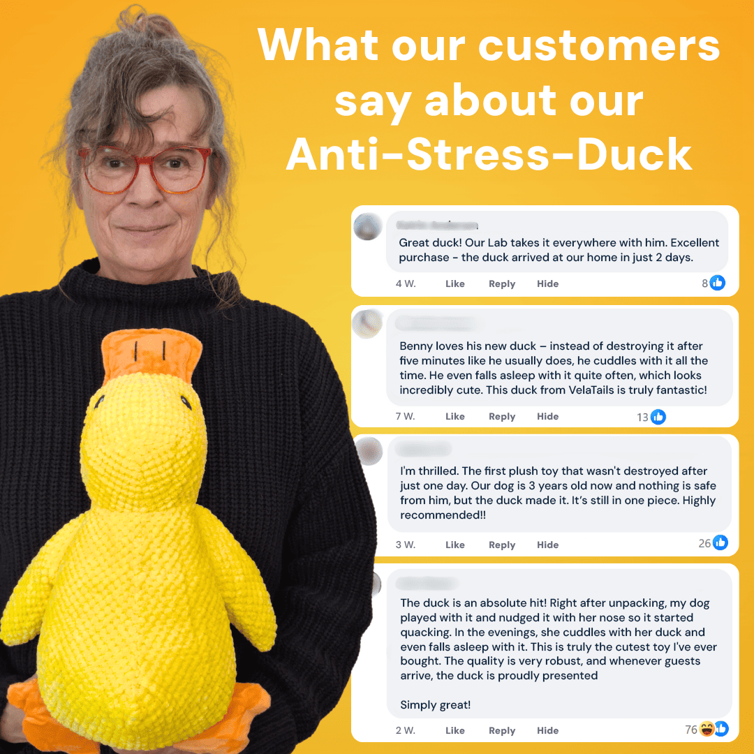 Anti-Stress Duck - The Bestseller