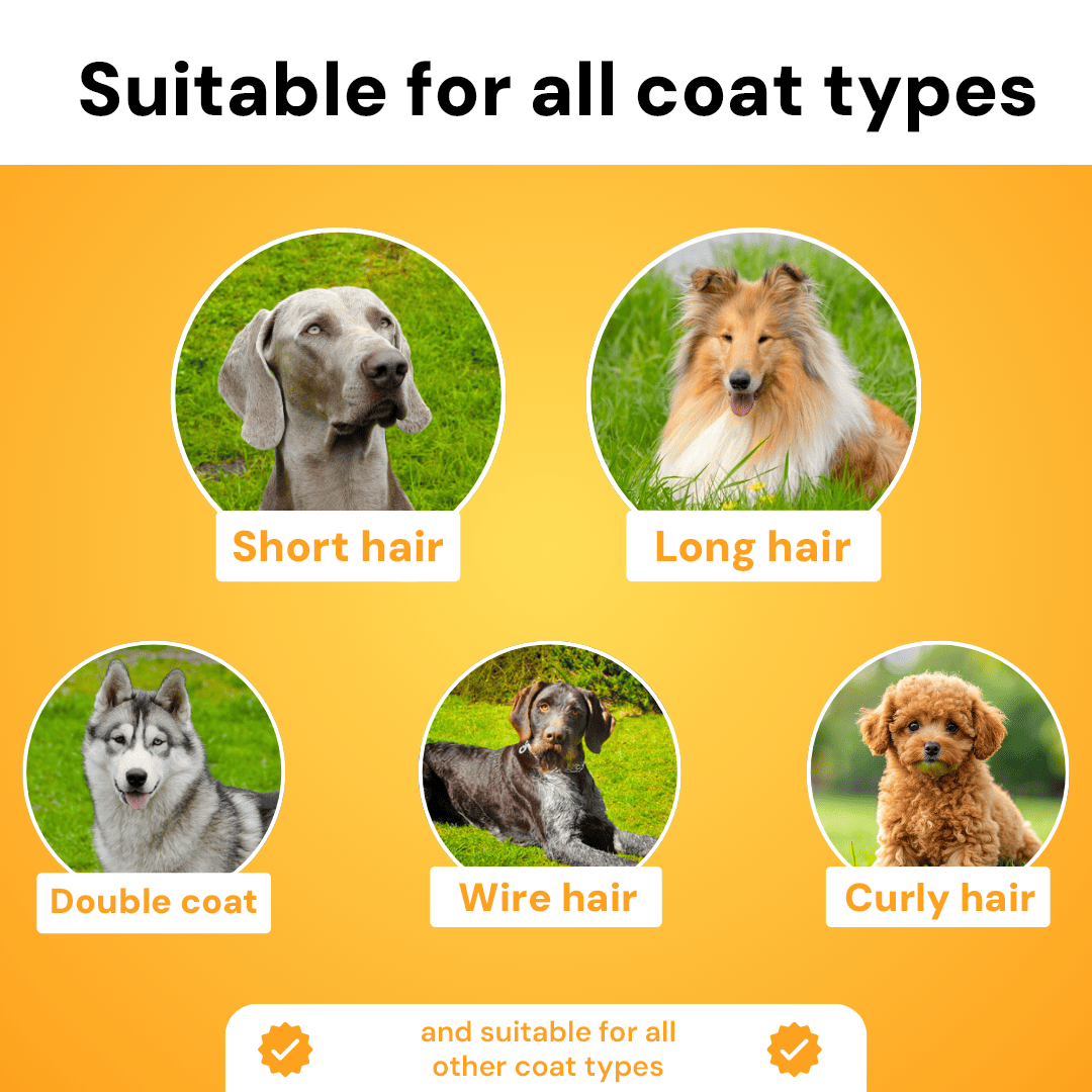 ShedFree Brush - The Bestseller