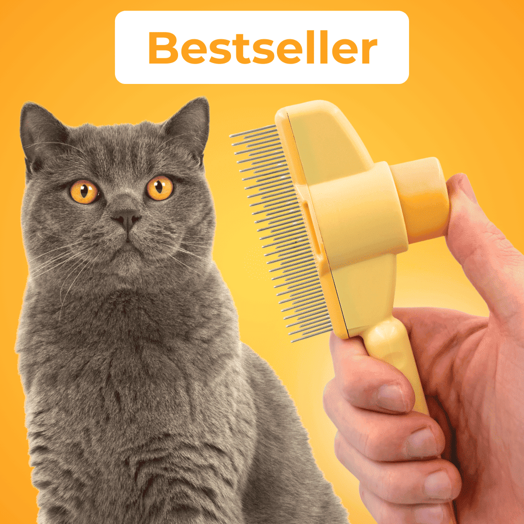 Fur Wonder Brush - The Bestseller