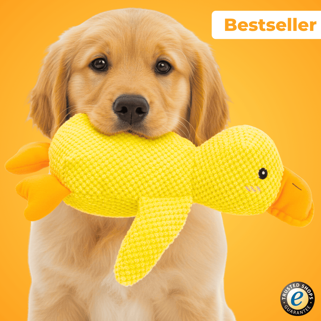 Anti-Stress Duck - The Bestseller