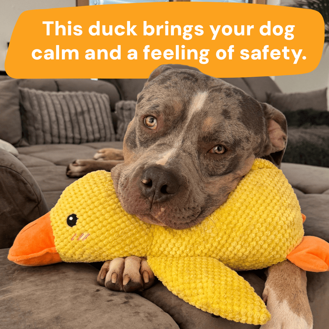Anti-Stress Duck - The Bestseller