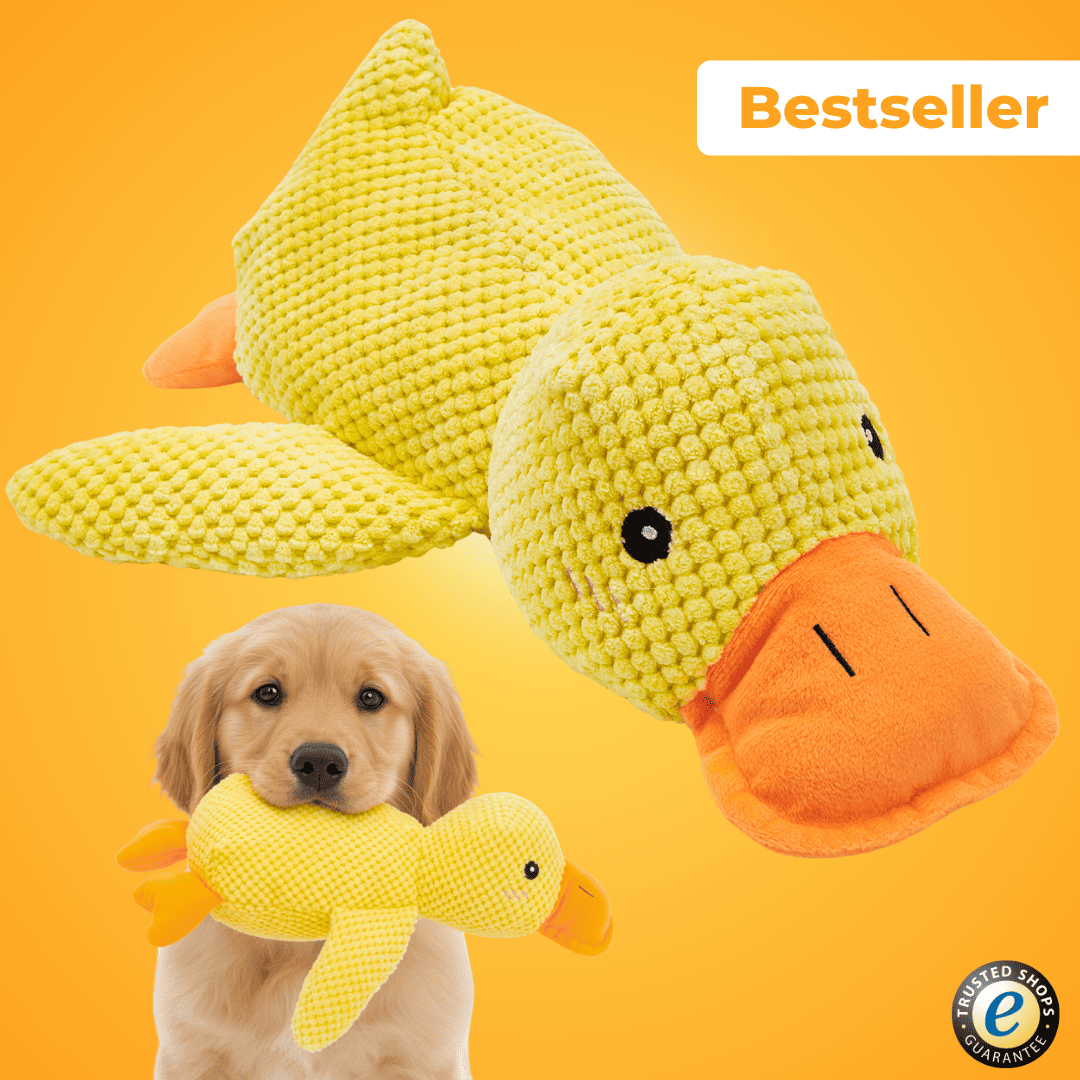 Anti-Stress Duck - The Bestseller