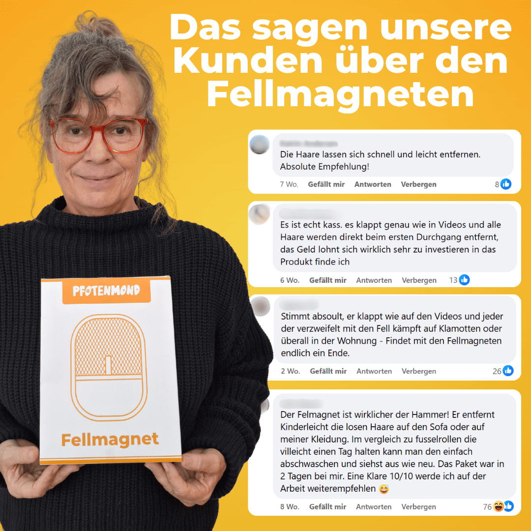 Fur Magnet - The Bestseller